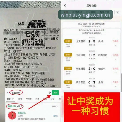 盈嘉体育客服 盈嘉体育平台评测 vs 官方客服体验:哪个更值得信赖?