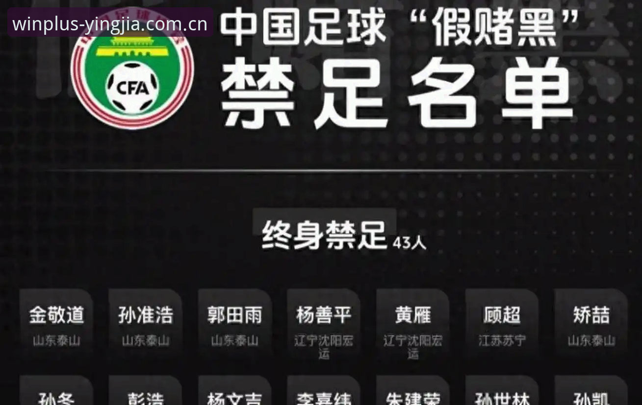 中国足球反腐风暴深度评测：第三批禁足名单背后的行业生态重构